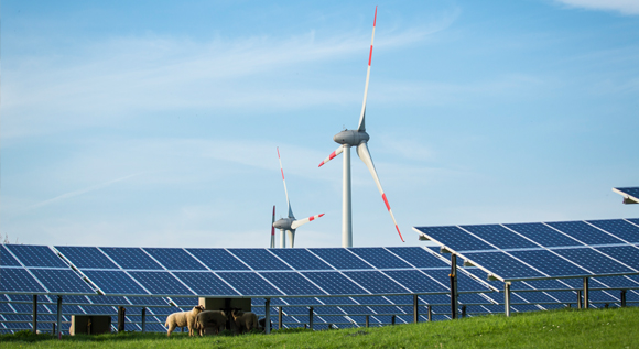 Solar panels and wind turbines, field and cattle in the foreground