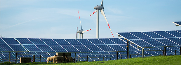 Wind turbines and solar panels with a meadow and sheep in the foreground.
