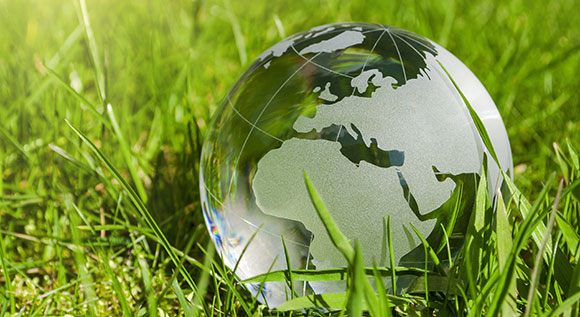 A globe laying in the grass