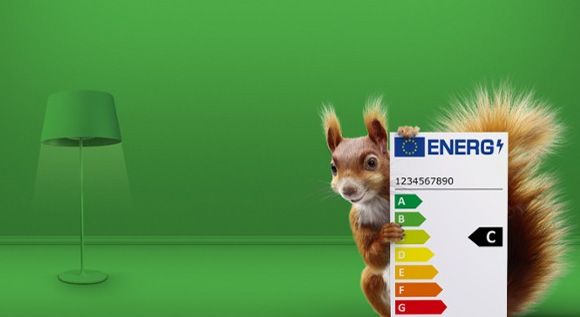 A squirrel holding the EU energy labels