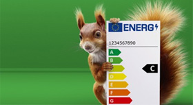 A squirell holding the EU energy labels