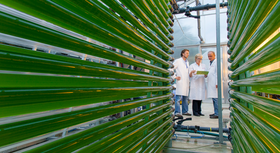 Energieforschung - Biomasseproduktion aus Algen