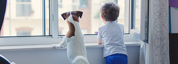 Hund und Kind schauen aus dem Fenster.