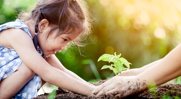 Ein Mädchen pflanzt einen Baum