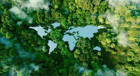 Motiv einer Weltkarte von oben, umgeben von Wäldern