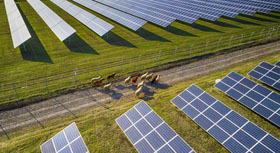 Photovoltaikanlagen auf einem Feld